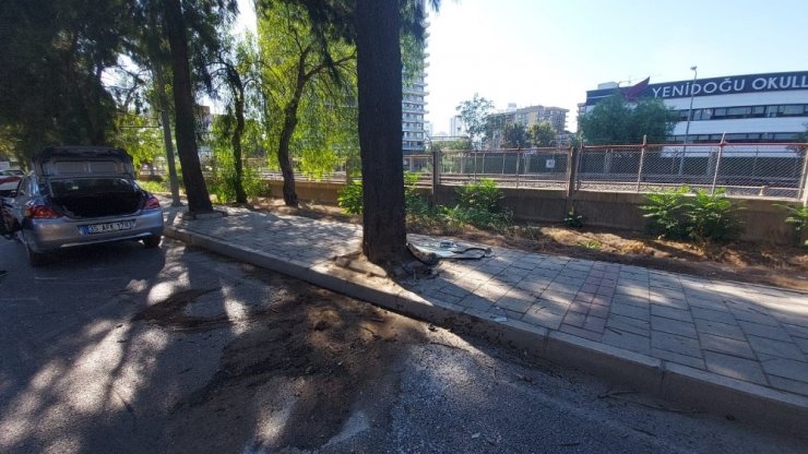 Ağaca çarpan otomobilin sürücüsü olay yerinde can verdi