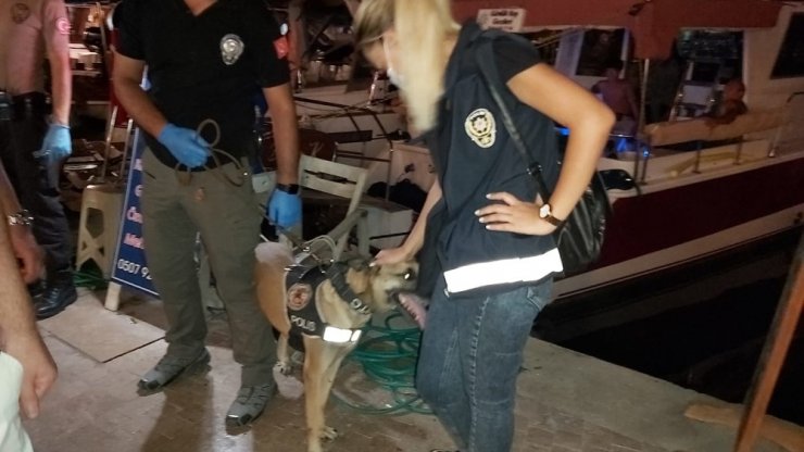Datça’da 100 polis ve 3 narkotik köpeğiyle dev uygulama! 2 gözaltı