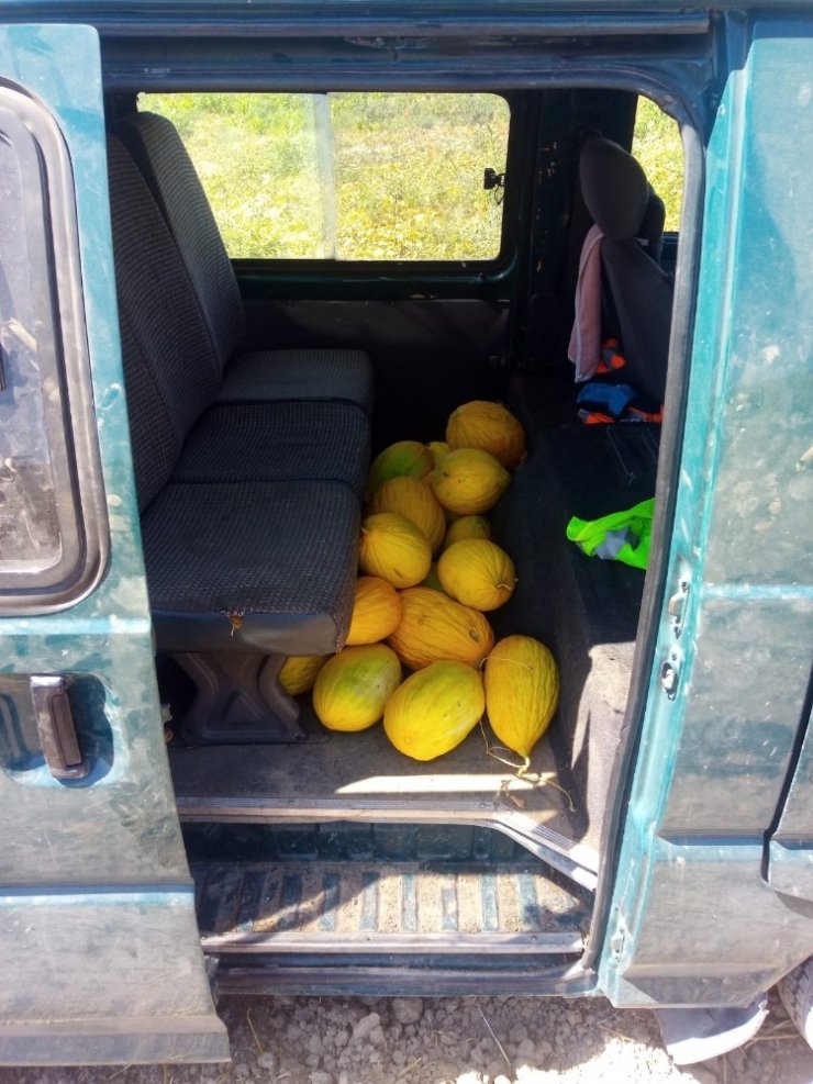 Kavun çalarken suç üstü yakalanan şahıs serbest bırakıldı