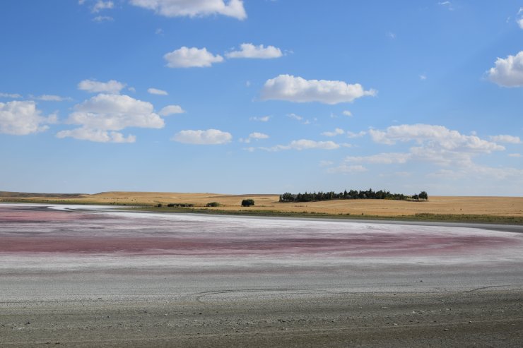 Konya'nın 'kuş cenneti'nde acı tablo! Düden Gölü kurudu