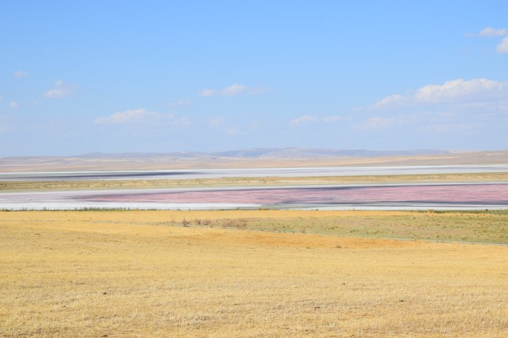 Konya'nın 'kuş cenneti'nde acı tablo! Düden Gölü kurudu
