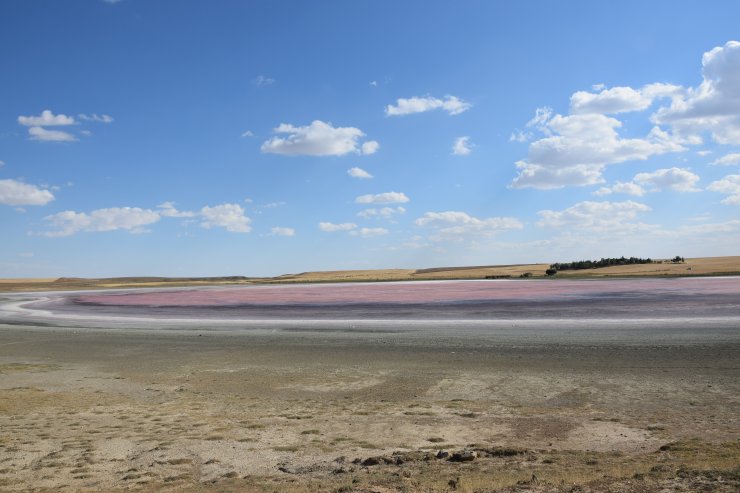 Konya'nın 'kuş cenneti'nde acı tablo! Düden Gölü kurudu