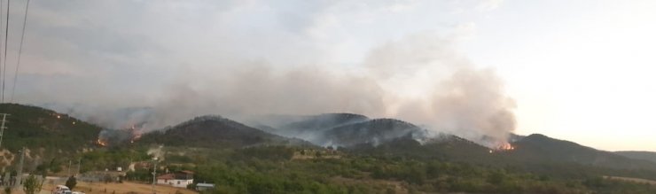 Ankara’daki orman yangınına 2 uçak 6 helikopter 127 arazöz 8 dozer ve 650 personel müdahale ediyor