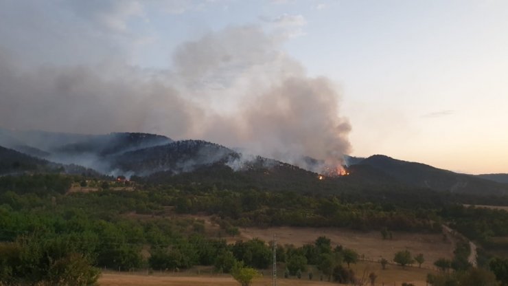 Ankara’daki orman yangınına 2 uçak 6 helikopter 127 arazöz 8 dozer ve 650 personel müdahale ediyor