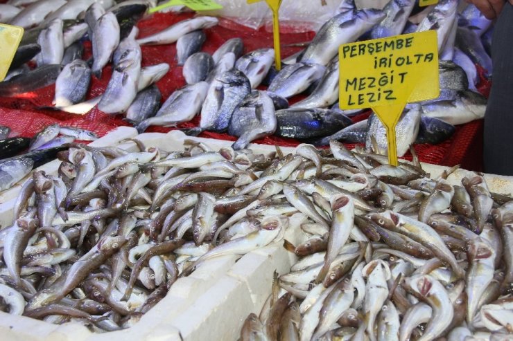 Av sezonu açıldı balık tezgahları şenlendi