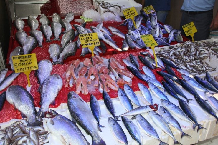 Av sezonu açıldı balık tezgahları şenlendi