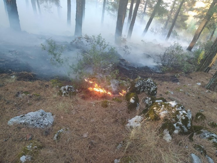 Bucak'taki orman yangını kontrol altına alındı! Konya ekibi geri döndü