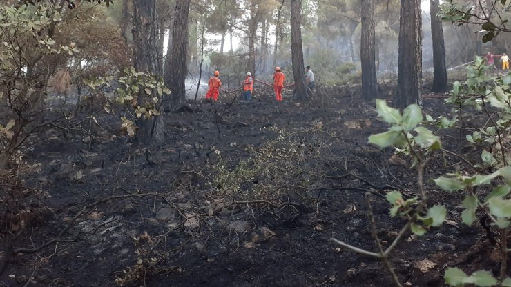 Bucak'taki orman yangını kontrol altına alındı! Konya ekibi geri döndü