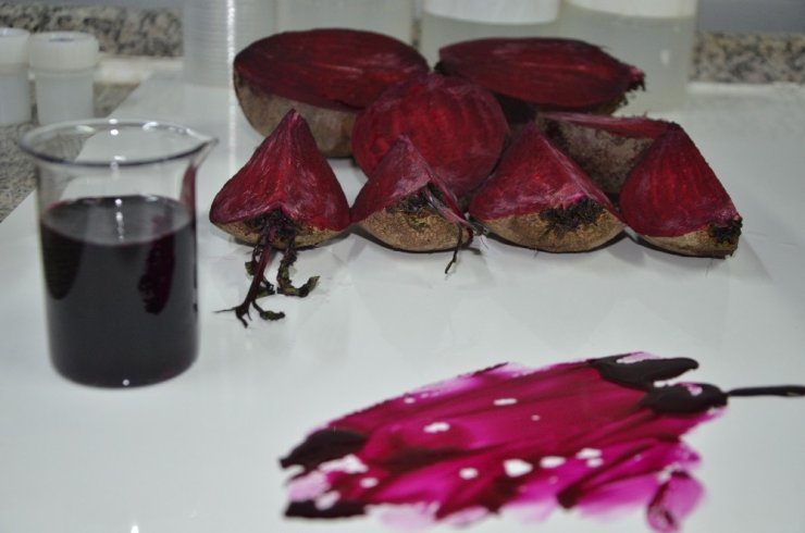 Bağışıklık sisteminin dostu kırmızı pancar Konya Ereğli'de yetiştiriliyor