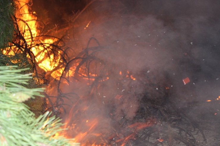Denizli’deki orman yangını büyüdü! Kriz masası oluşturuldu 10 hane boşaltıldı