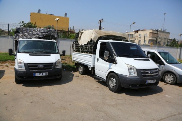 30 ton narenciyeyi hırsızlar hasat etti! Satıp çeyiz almaya gideceklerdi