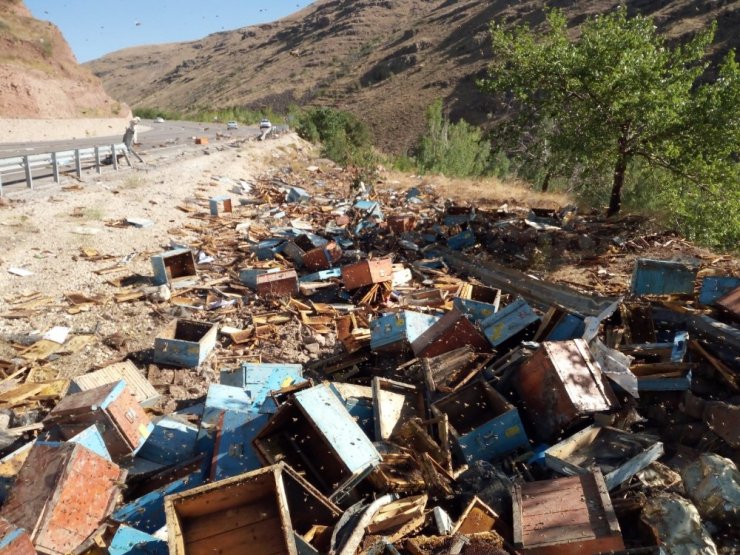 Arı kovanı yüklü kamyon devrildi! 3 kişi öldü
