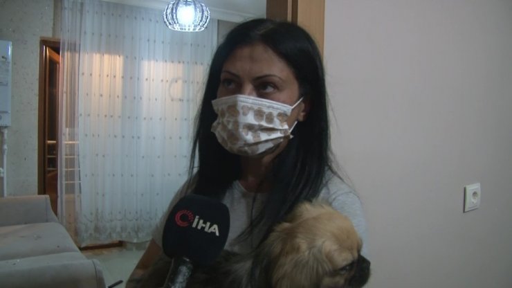 Böyle vahşet görülmedi! Köpeği camdan aşağı attı