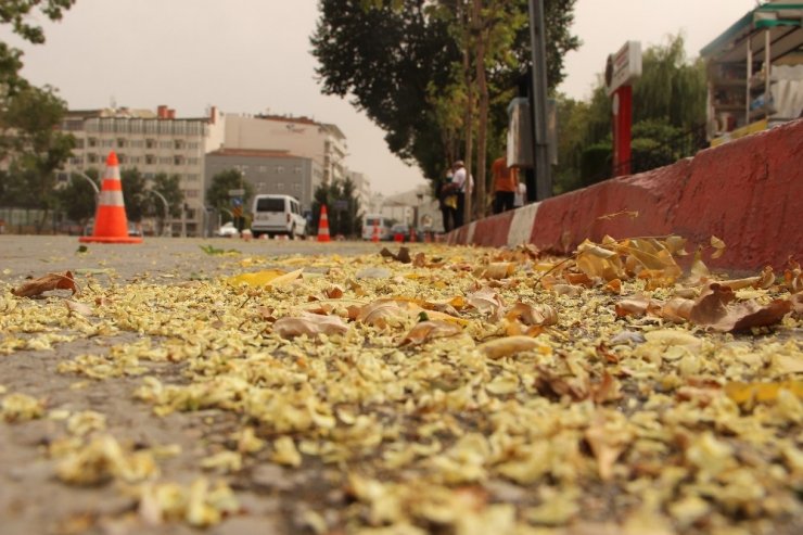 Aniden çıkan fırtına korkuttu! Şehrin üstünü toz bulutu kapladı