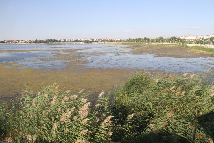 Beyşehir Gölü'nde tehlikeli düşüş! Kapaklar kapatıldı