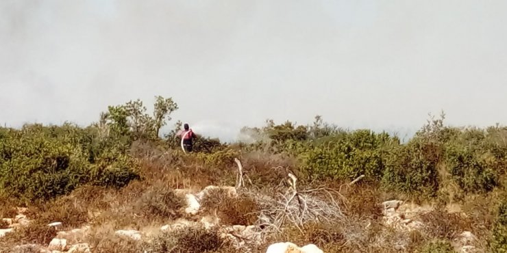 Didim’de makilik alanda yangın çıktı