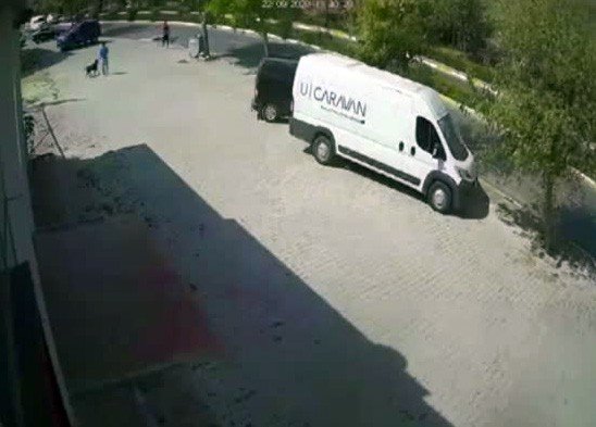 Büyükçekmece’de köpeğine saldıran sokak köpeğini silahla vurarak öldürdü