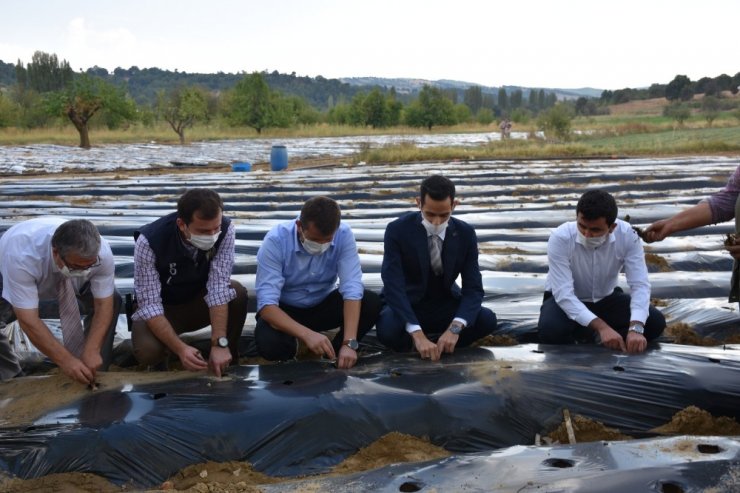 Kaymakam Soylu: "Amacımız üreticimize yeni gelir kaynakları oluşturmaktır"
