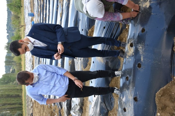 Kaymakam Soylu: "Amacımız üreticimize yeni gelir kaynakları oluşturmaktır"