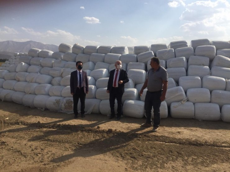 Van’da üretilen silajlık mısırda ilk defa paketleme işlemi yapıldı