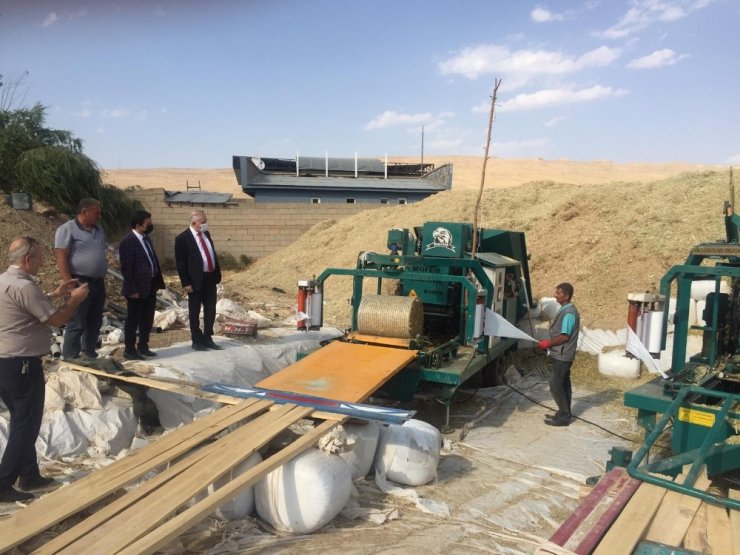 Van’da üretilen silajlık mısırda ilk defa paketleme işlemi yapıldı