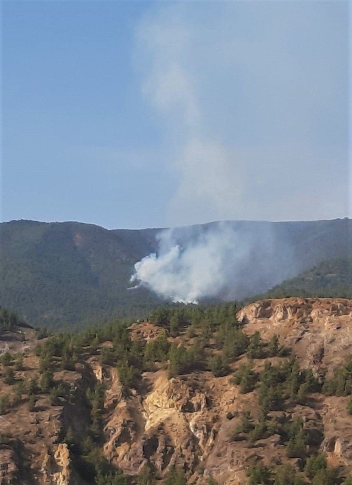 Mihalgazi’deki orman yangını için Ankara’dan helikopter geliyor