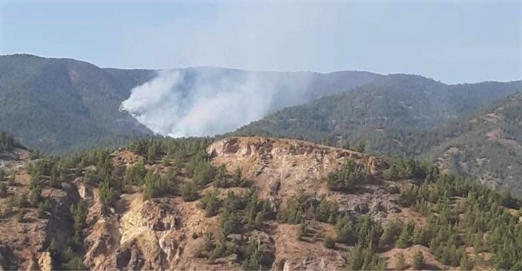 Mihalgazi’deki orman yangını için Ankara’dan helikopter geliyor