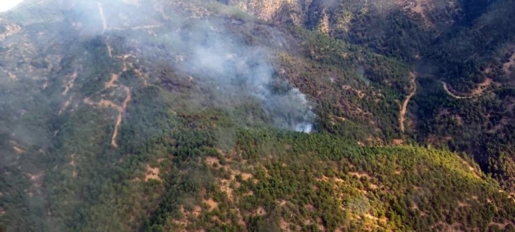 Yangının ardından Eskişehir Orman Bölge Müdürü Temel’den açıklama
