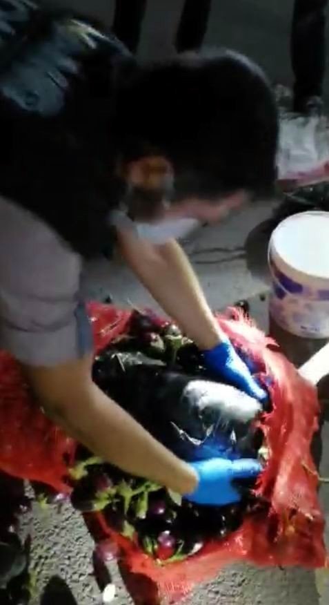 Konya'da zehir tacirlerine ağır darbe! Patlıcan ve zeytin dolu çuvallardan kilolarca uyuşturucu çıktı