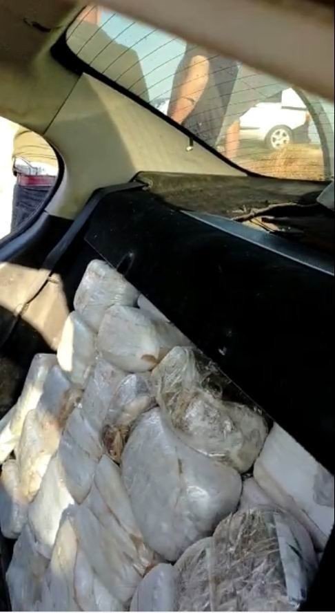 Konya'da zehir tacirlerine ağır darbe! Patlıcan ve zeytin dolu çuvallardan kilolarca uyuşturucu çıktı