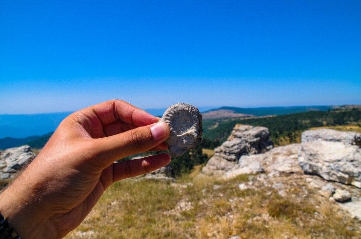 Eskişehir’de 65-200 milyon yıllık Ammonit fosilleri keşfedildi
