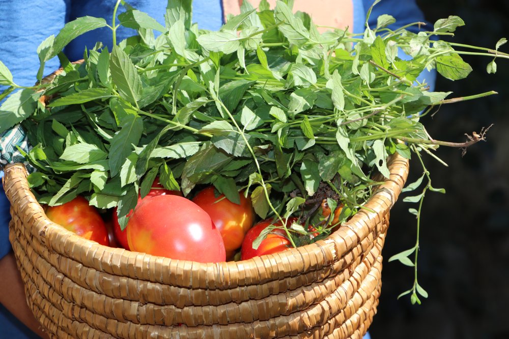 Göktepe Kadın Kooperatifi beldedeki kadınlara umut oldu!