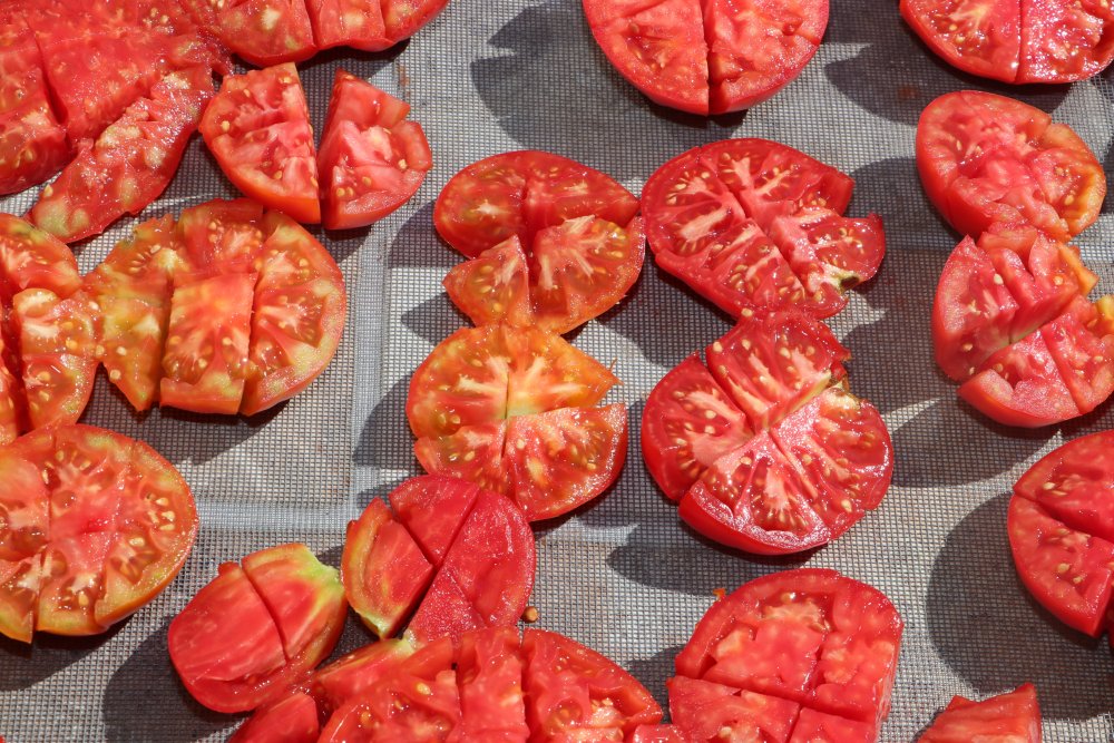 Göktepe Kadın Kooperatifi beldedeki kadınlara umut oldu!