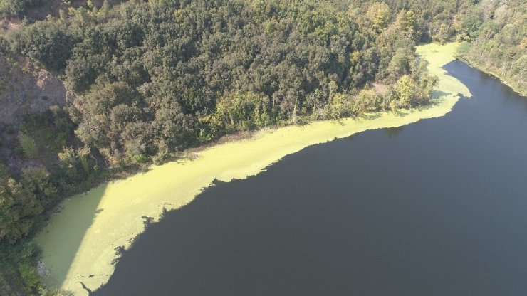 İstanbul’da ürküten manzara; Elmalı Barajı’nın suyu yine yeşile döndü