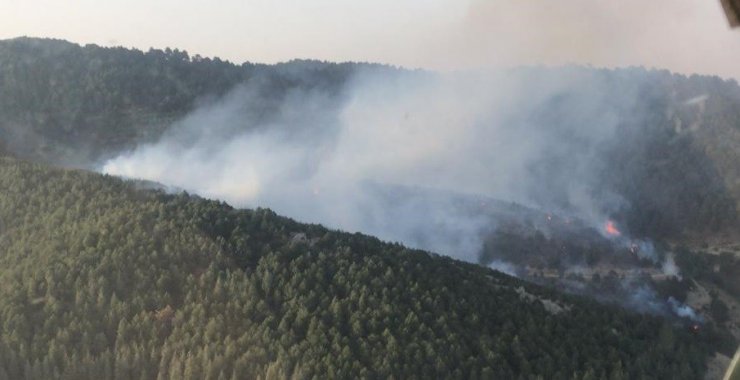 İzmir’de ormanlık alanda yangın paniği