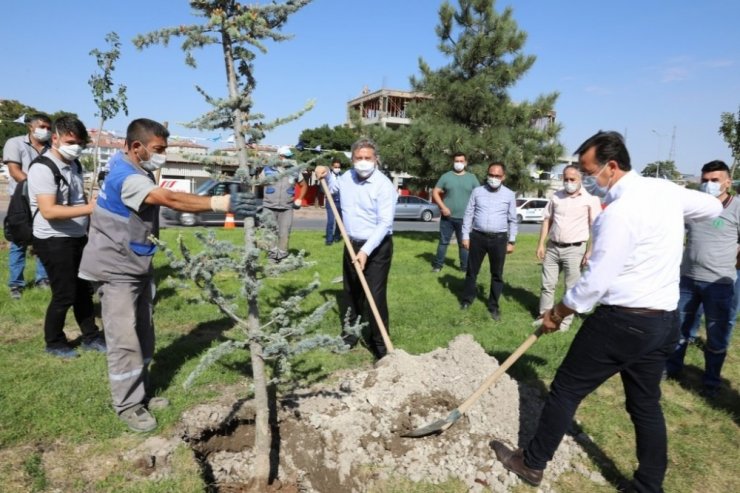 Başkan Dr. Mustafa Palancıoğlu“fidan değil, ağaç dikiyoruz”