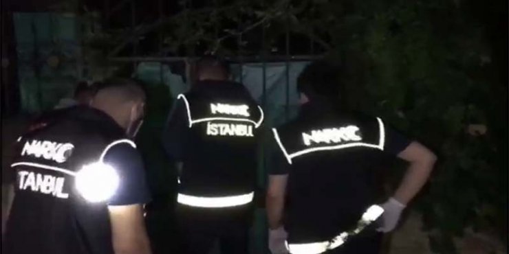İstanbul’da üç katlı villaya uyuşturucu baskını: 188 kilo Hint keneviri bitkisi ele geçirildi