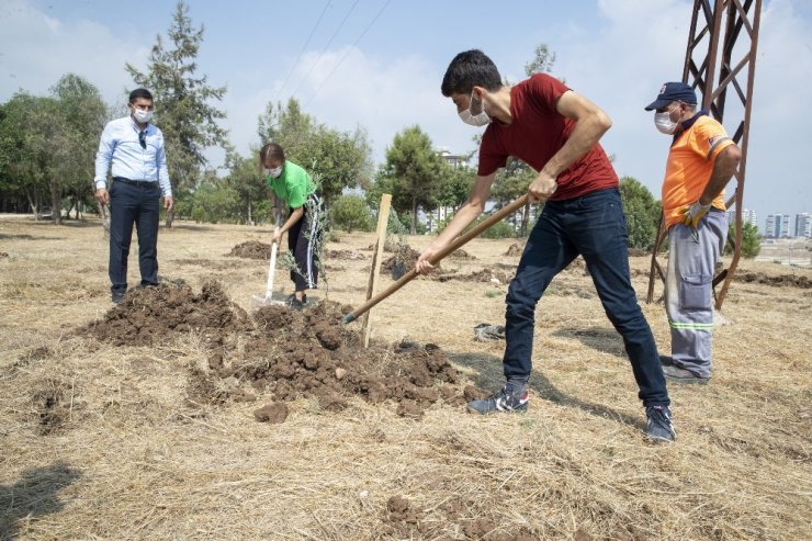 Mersin Büyükşehir Belediyesi, üniversiteyi kazanan gençler için zeytin fidanı dikti