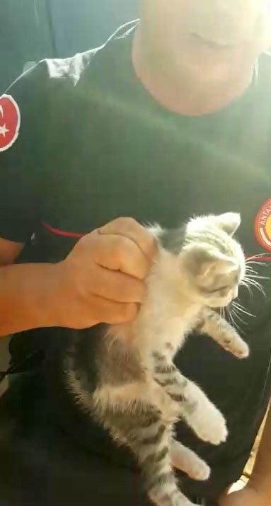 Sanatçı Sümer Ezgü’nün tatiline yaramaz kedi rötarı