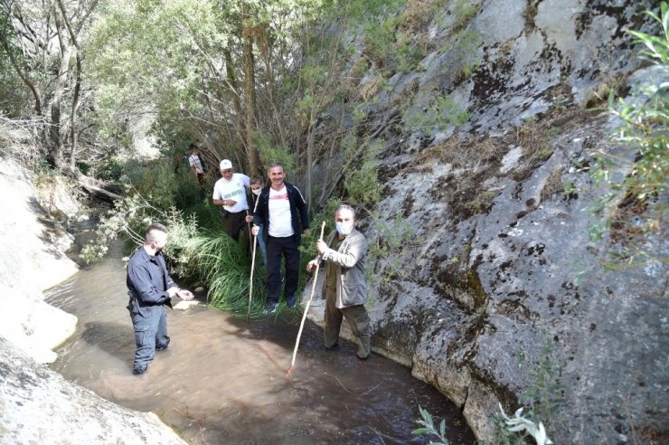 Başkan Köse ve Doğa Gönüllüleri Saklı Cennet Kıbrıs Kanyonu’na yürüdü