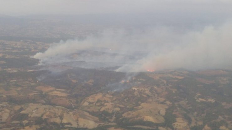 Manisa’daki orman yangınına karadan müdahale devam ediliyor