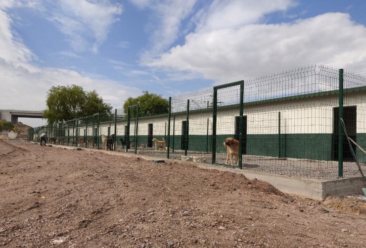 Sincan Geçici Bakım Evi ve Rehabilitasyon Merkezi yakında hizmete girecek