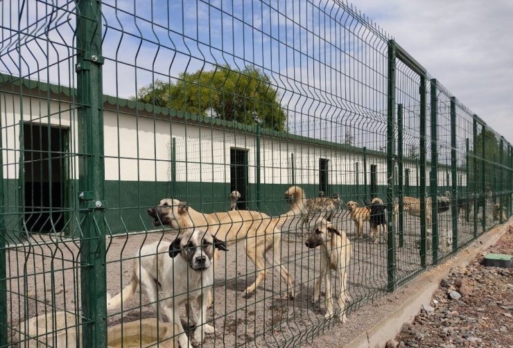 Sincan Geçici Bakım Evi ve Rehabilitasyon Merkezi yakında hizmete girecek