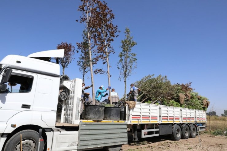 Melikgazi’nin ’gelece nefes’ seferberliği devam ediyor