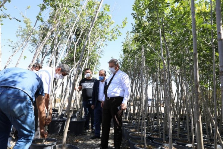 Melikgazi’nin ’gelece nefes’ seferberliği devam ediyor