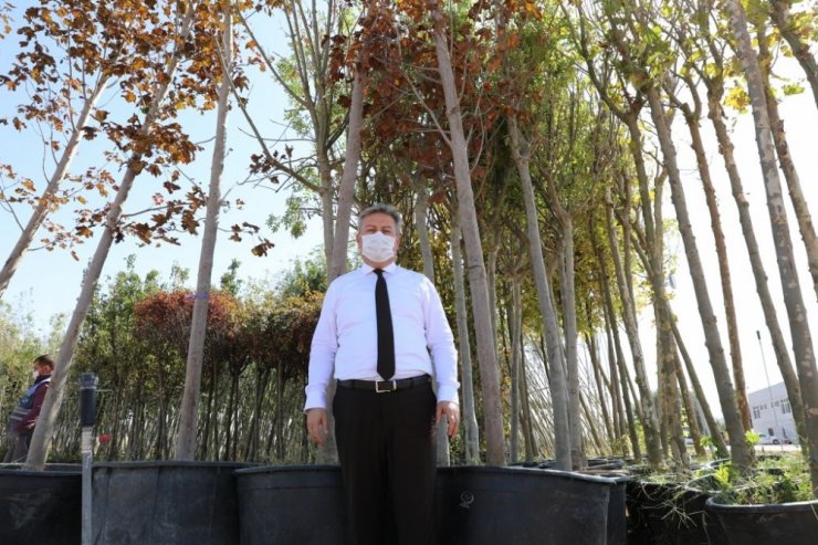 Melikgazi’nin ’gelece nefes’ seferberliği devam ediyor