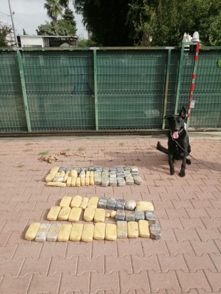 Otomobilin zulasındaki eroini "Tunga" buldu