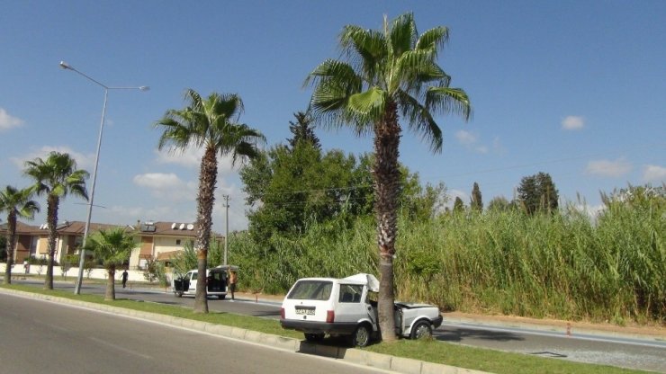 Virajı alamayan ehliyetsiz sürücü palmiyeye çarptı: 1 yaralı