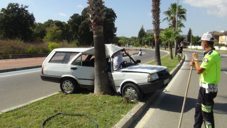 Virajı alamayan ehliyetsiz sürücü palmiyeye çarptı: 1 yaralı