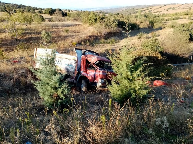 Manisa’da badem yüklü kamyonet devrildi: 2 yaralı
